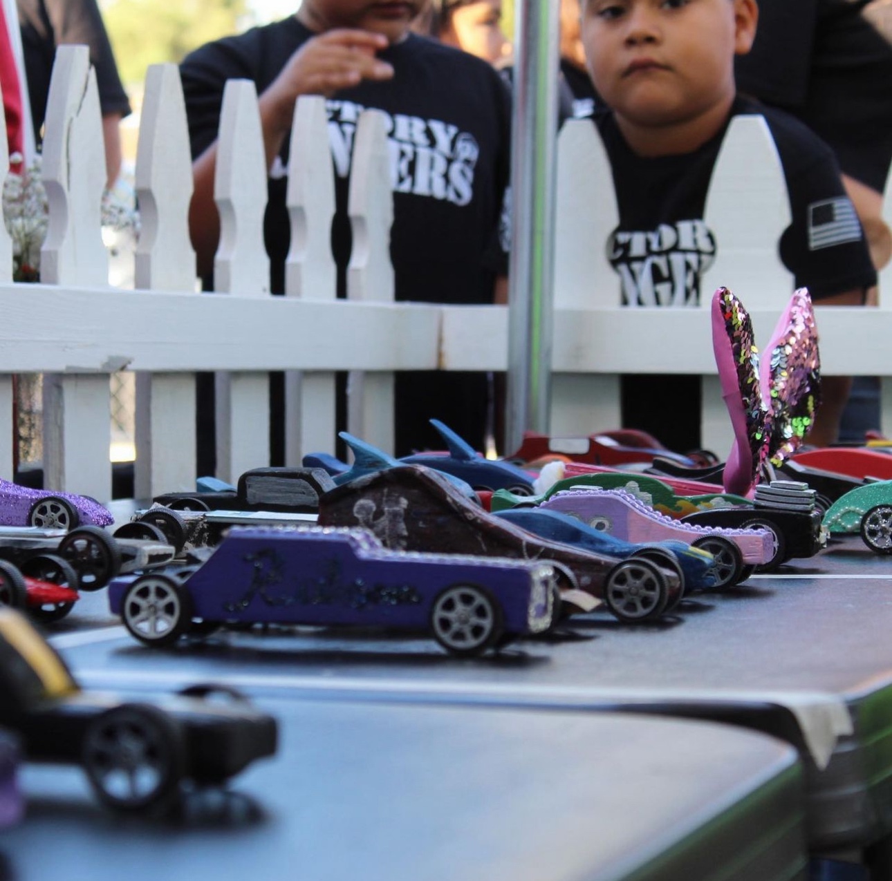 Pinewood Derby activity